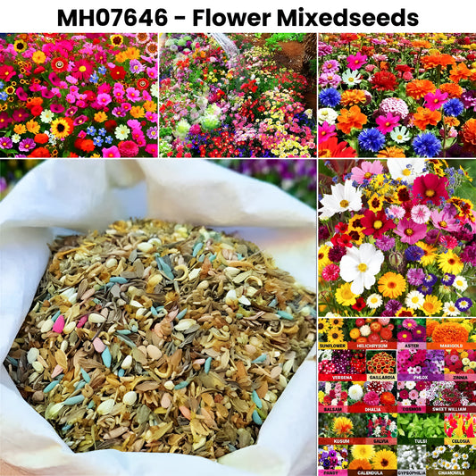 MH07646 Flower Mixed Seeds
