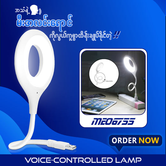 ME06755 Voice-Controlled Lamp