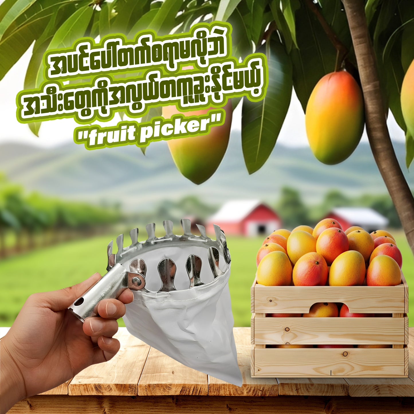MH07844 Fruit Picker