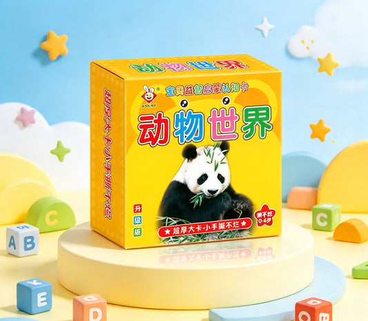 MK08638  Education Flashcards