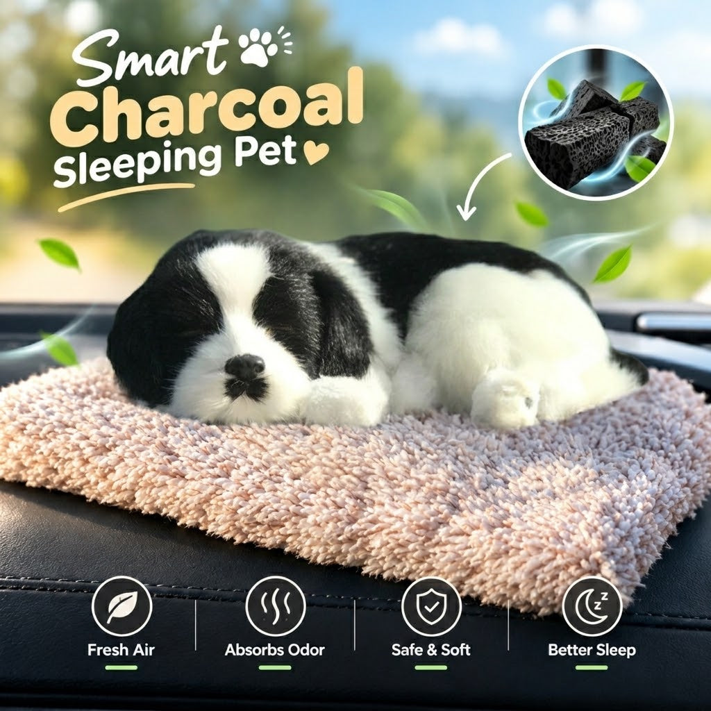 MV08601 Smart Charcoal Sleeping Pet