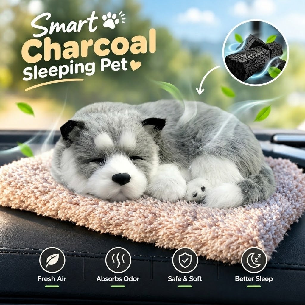 MV08601 Smart Charcoal Sleeping Pet